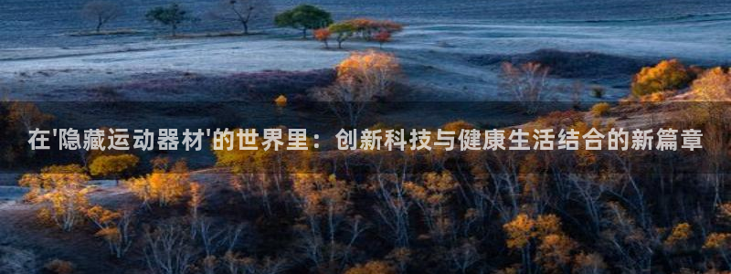 凯捷体育集团logo：在\'隐藏运动器材\'的世界里