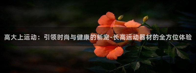 凯捷体育科技：高大上运动：引领时尚与健康的新宠-长高