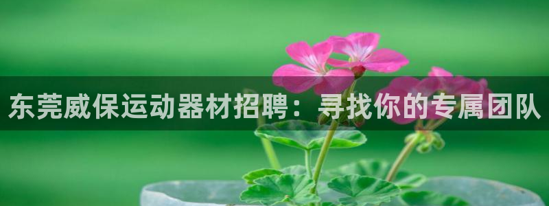 凯捷体育招商电话：东莞威保运动器材招聘：寻找你的专属