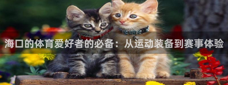 注册凯捷体育：海口的体育爱好者的必备：从运动装备到赛