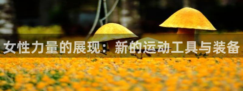 德国凯捷体育集团：女性力量的展现：新的运动工具与装备