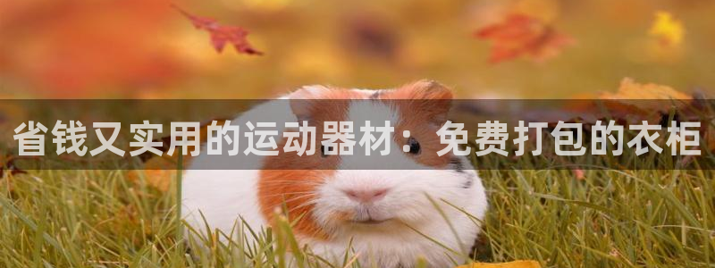 凯捷体育集团官网首页