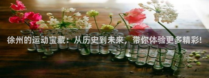 凯捷体育平台是正规平台吗安全吗：徐州的运动宝藏：从历史到未来