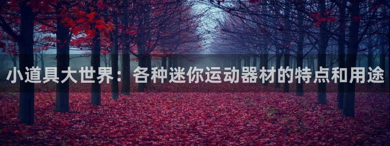 凯捷体育是干嘛的公司：小道具大世界：各种迷你运动器材