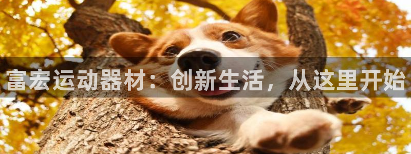 凯捷体育娱乐平台