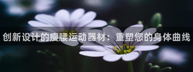 德国凯捷体育集团：创新设计的瘦腰运动器材：重塑您的身体曲线