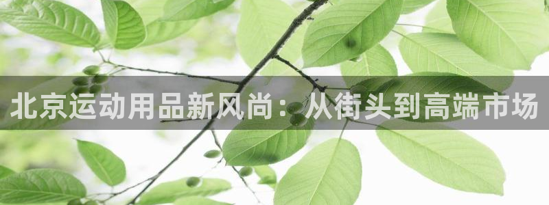 凯捷体育集团简介：北京运动用品新风尚：从街头到高端市