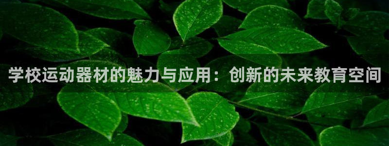 凯捷体育代理：学校运动器材的魅力与应用：创新的未来教