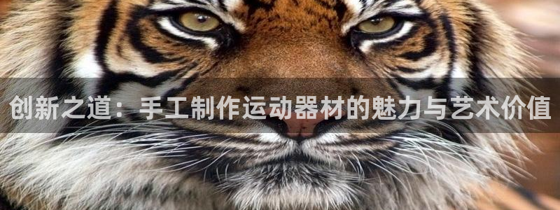 注册凯捷体育：创新之道：手工制作运动器材的魅力与艺术