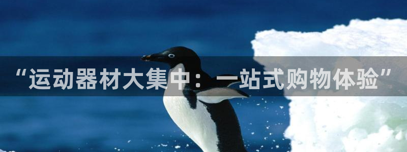 凯捷体育集团E.ON：“运动器材大集中：一站式购物体验”