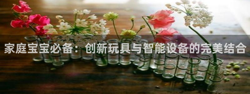 凯捷体育娱乐首页网站大全：家庭宝宝必备：创新玩具与智