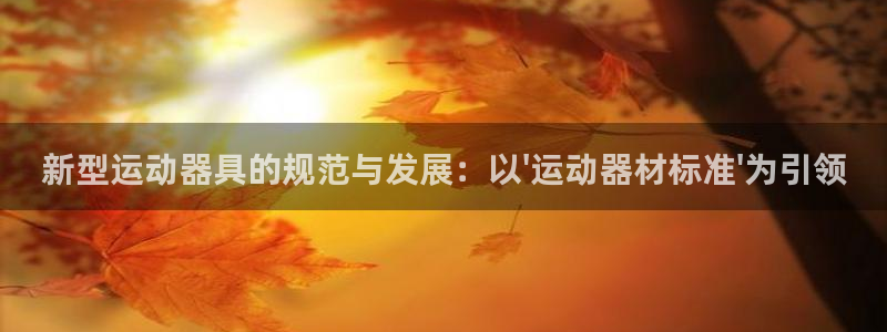 凯捷体育招商电话号码查询：新型运动器具的规范与发展：