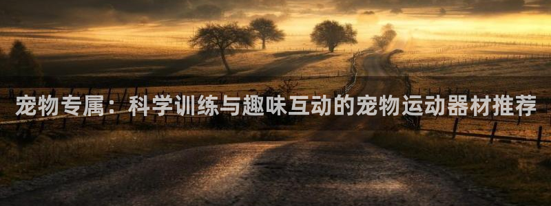 意昂平台体育：宠物专属：科学训练与趣味互动的宠物运动器材推荐