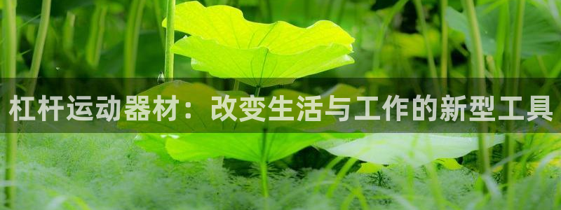 凯捷体育官方客服电话：杠杆运动器材：改变生活与工作的新型工具