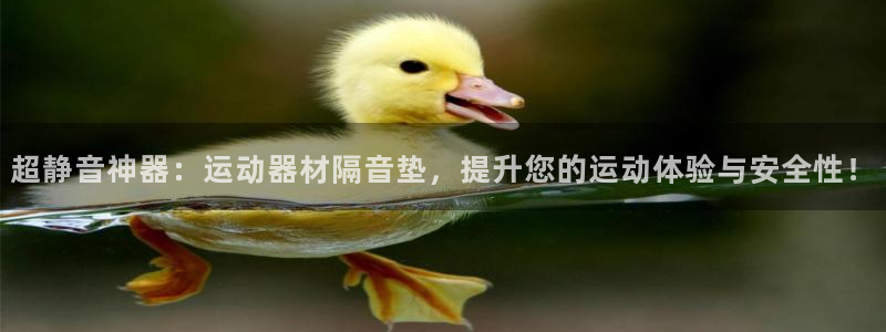 凯捷体育代理：超静音神器：运动器材隔音垫，提升您的运