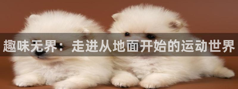 凯捷体育招商电话地址是多少