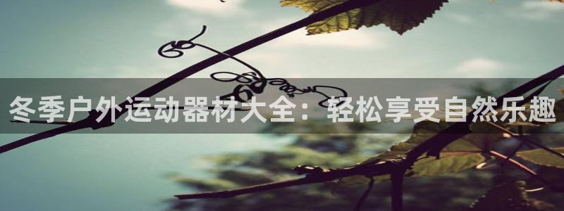 凯捷体育软件：冬季户外运动器材大全：轻松享受自然乐趣